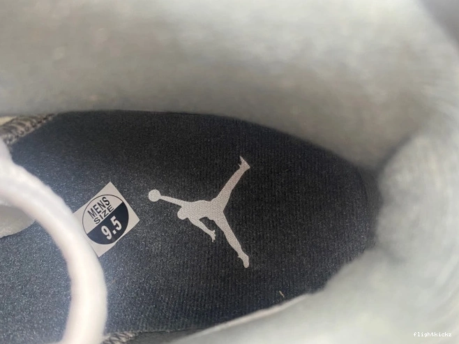 Grey Cool Jordan Air 6 CT8529-100 1213